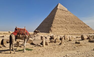 014af408 a54d 4b13 9fbd 441c744c0d87