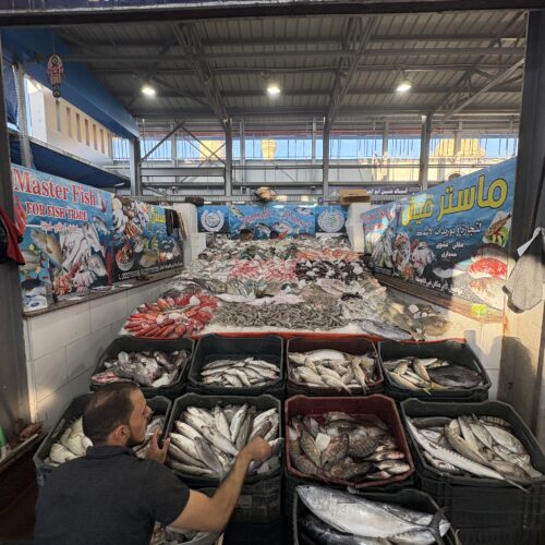 marché aux poissons hurghada