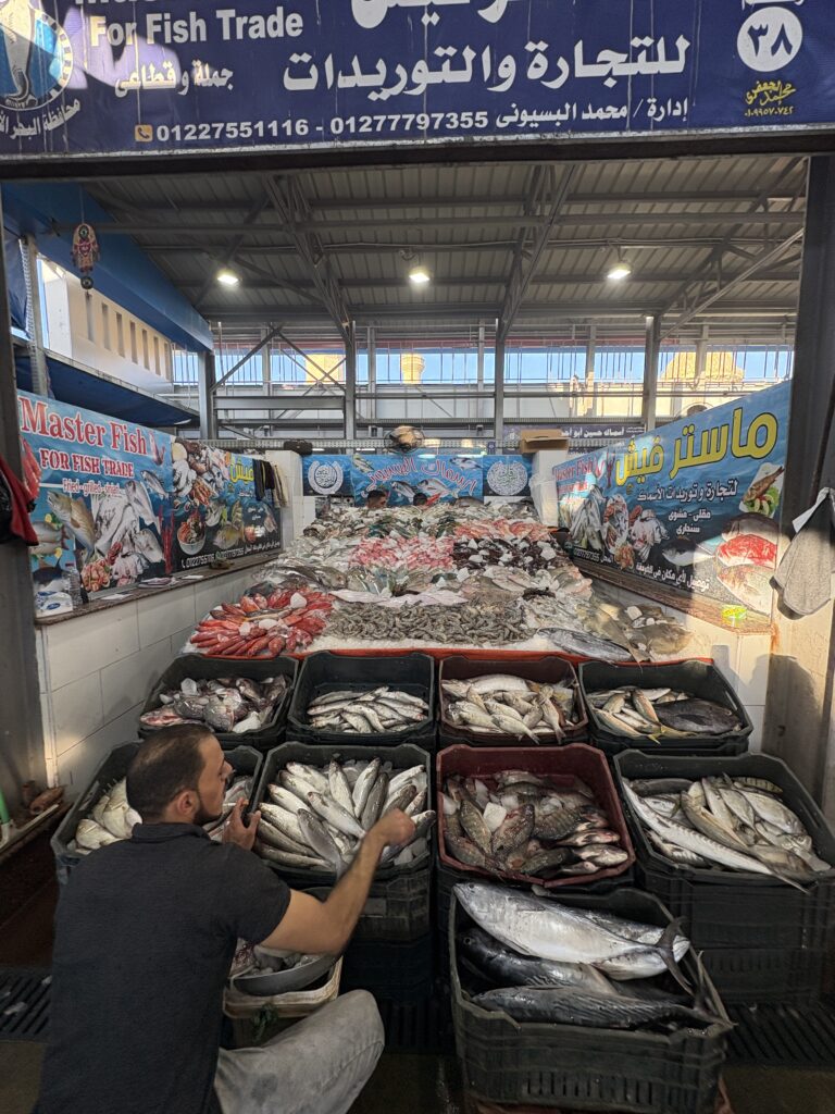 marché aux poissons hurghada