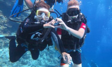 4afeff9e c2b0 4e7d 87a8 461efd085b00