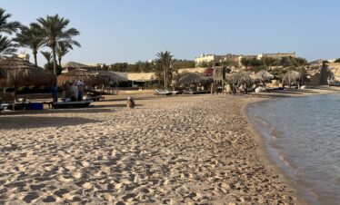 Vue sous un parasol sur des transats et des parasols, avec des touristes sur la plage de Sharm el-Naga.