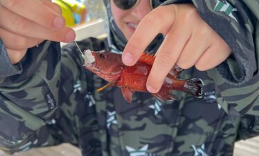 Touriste tenant une canne à pêche avec un petit poisson pris en mer, à bord du yacht.