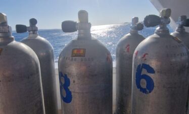 photo 2024 10 30 14 14 15 2