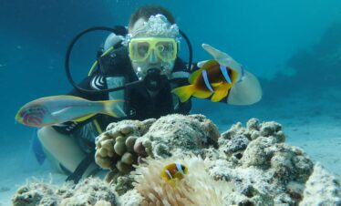 photo 2024 10 30 14 15 37