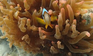 photo 2024 10 30 14 19 27