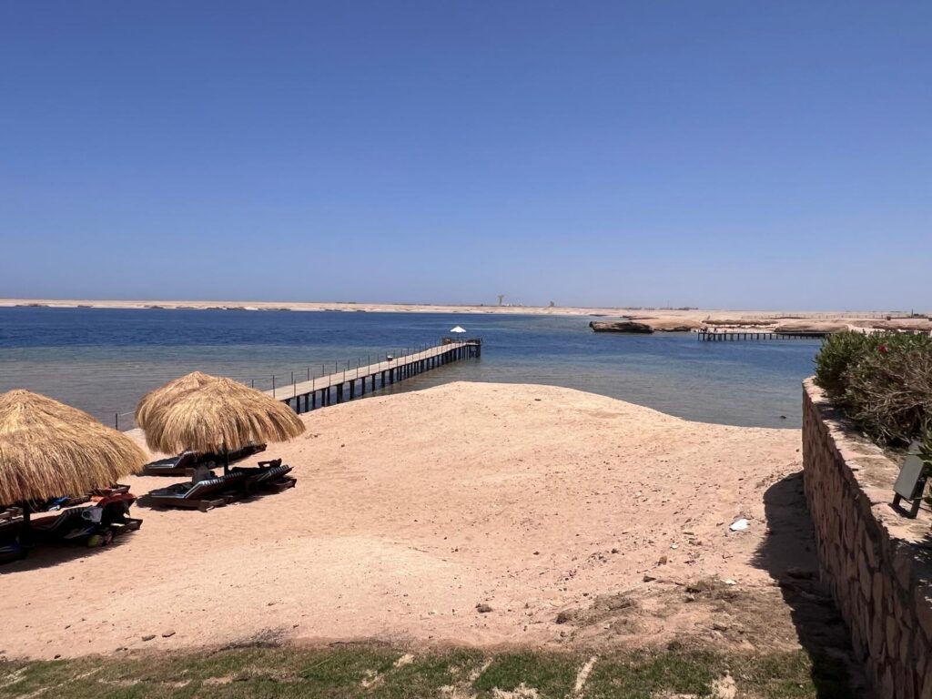 photo 2025 06 01 17 54 57