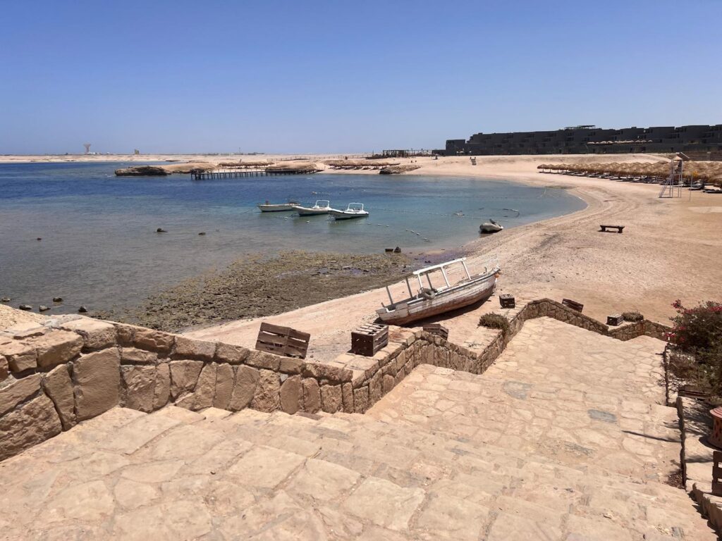 photo 2025 06 01 17 54 57 2