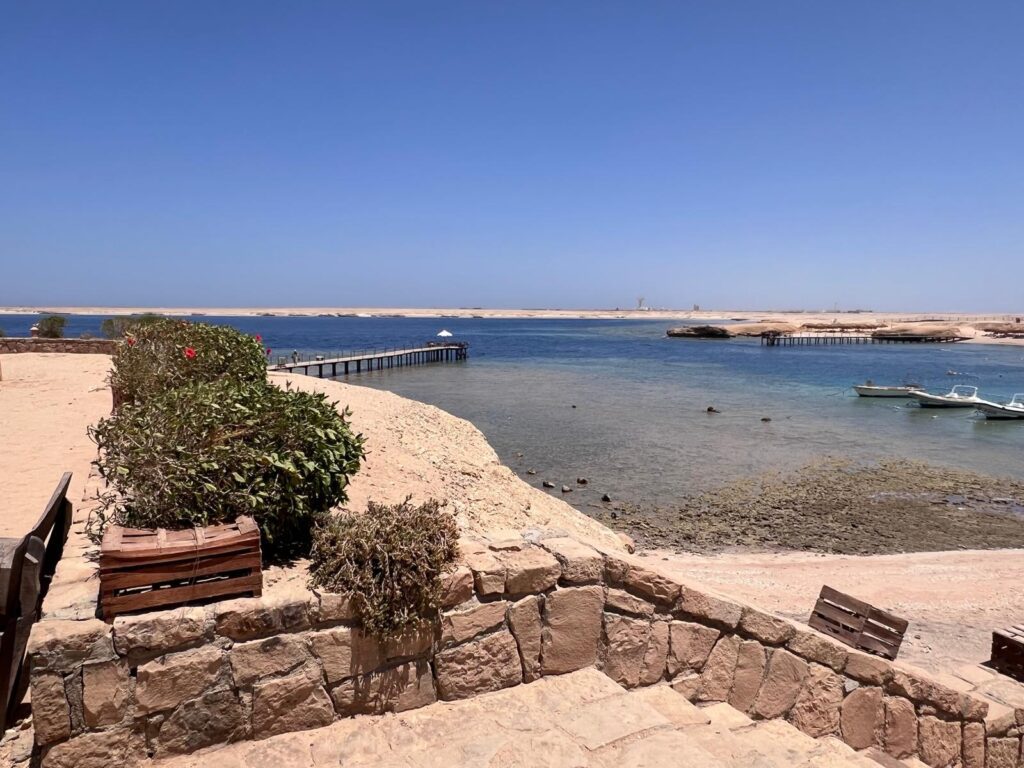 photo 2025 06 01 17 54 57 5