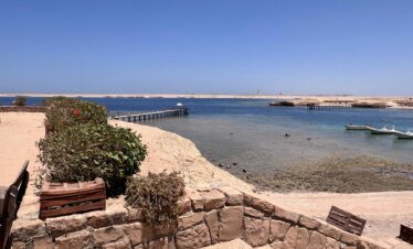 photo 2025 06 01 17 54 57 5