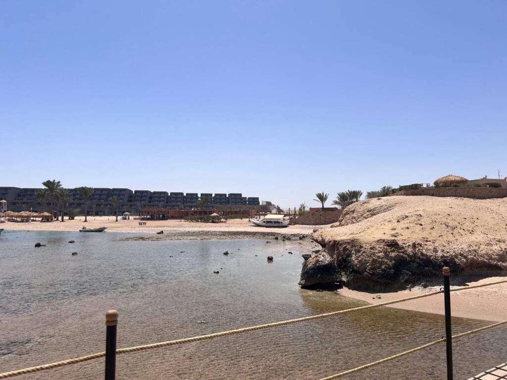 photo 2025 06 01 17 54 57 7