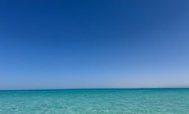 0d1b68a1 8f31 484f 96f3 43b1bc3b323c