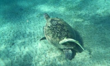 9e1fd05a d28a 4472 b253 cc6e62e62da3