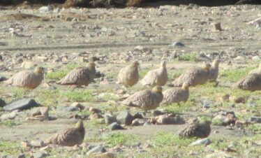 1333b1d6 445a 4d73 b896 48ca5170dca2