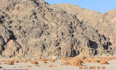 2ce68454 49a1 4cad b9cc fed93759b331