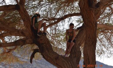 31421e73 e97f 4632 a33b 2573308224a7