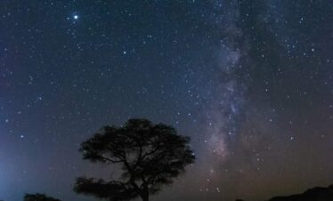 80aba72f b316 4b90 89e1 a27edfdc3649