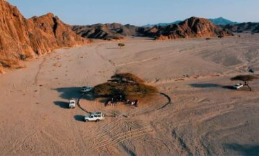 8d55383f 45e6 4ecb be0e f0817f061c81