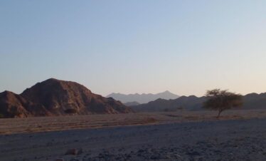 c12e3d6d ea01 44e9 b0f7 8cef3fde7e7f