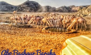 e6aa377c 3863 4c7f bafd 24f3882df303