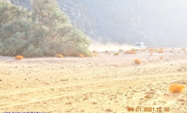 ec853cab 2e2c 4a42 b302 8c3d00848b7d