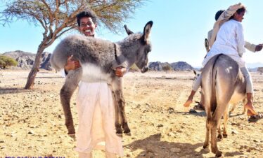 f5ea8afa 7e84 4609 b5bf 4b9bd3fdb018