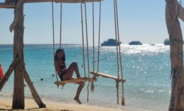 52da27c2 06fe 4184 b546 ad93b7077e40