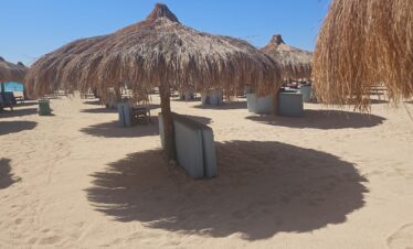 7f8423a6 0838 417f 8fd1 60c81df5655a