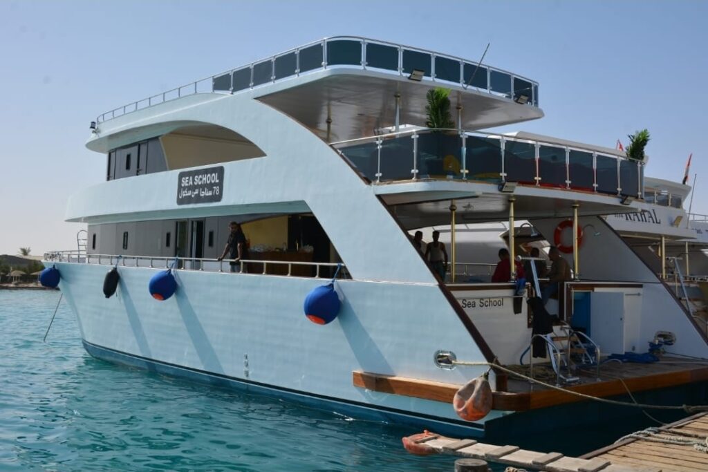 photo 2026 03 21 23 13 38