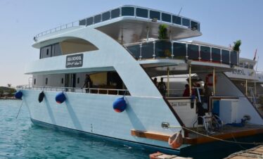 photo 2026 03 21 23 13 38