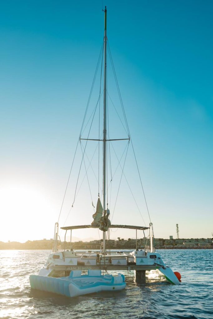 photo 2026 03 21 17 33 10 2